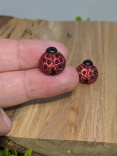 Load image into Gallery viewer, Lady Bug Sparkle Stud Earrings

