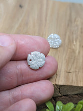 Load image into Gallery viewer, Dainty Sparkle Sand Dollar Stud Earrings
