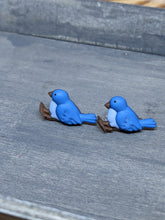 Load image into Gallery viewer, Blue Jay Stud Earrings
