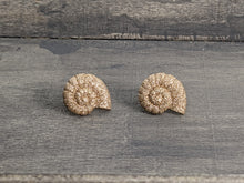 Load image into Gallery viewer, Sparkle Conch Shell Stud Earrings
