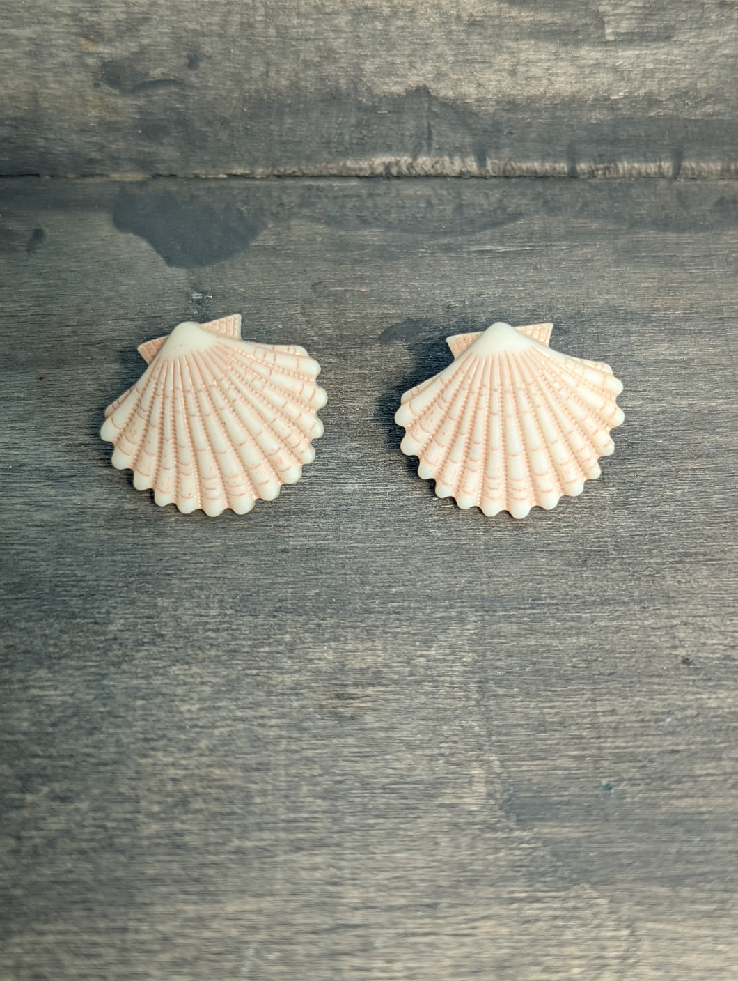 Seashell Clam Stud Earrings