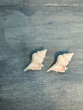 Load image into Gallery viewer, Seashell Whelk Stud Earrings
