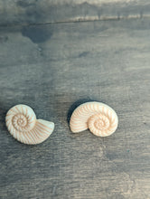 Load image into Gallery viewer, Seashell Conch Stud Earrings
