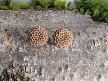 Load image into Gallery viewer, Hydrangea Flower Beige Stud Earrings
