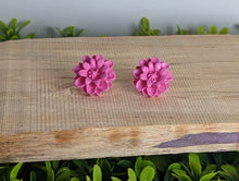 Load image into Gallery viewer, Cornflower Dark Pink Stud Flower Earrings
