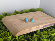 Load image into Gallery viewer, Wood &amp; Resin Stud Earrings- Light Blue
