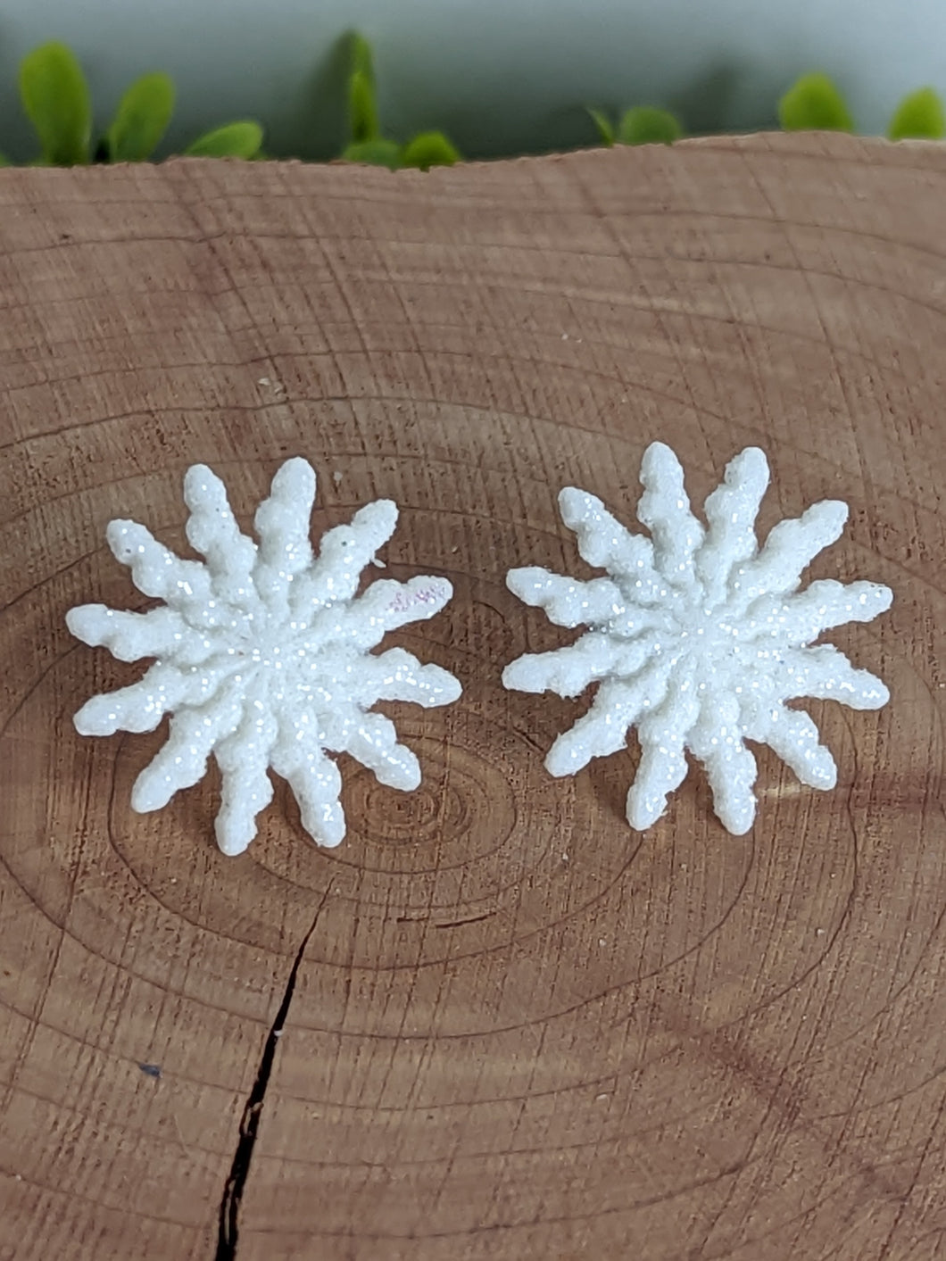 Snowflake Stud Earrings (1)
